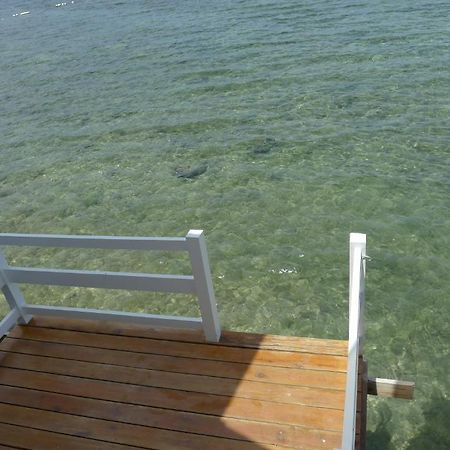 Bluefins Resort Lapu-Lapu City Bagian luar foto